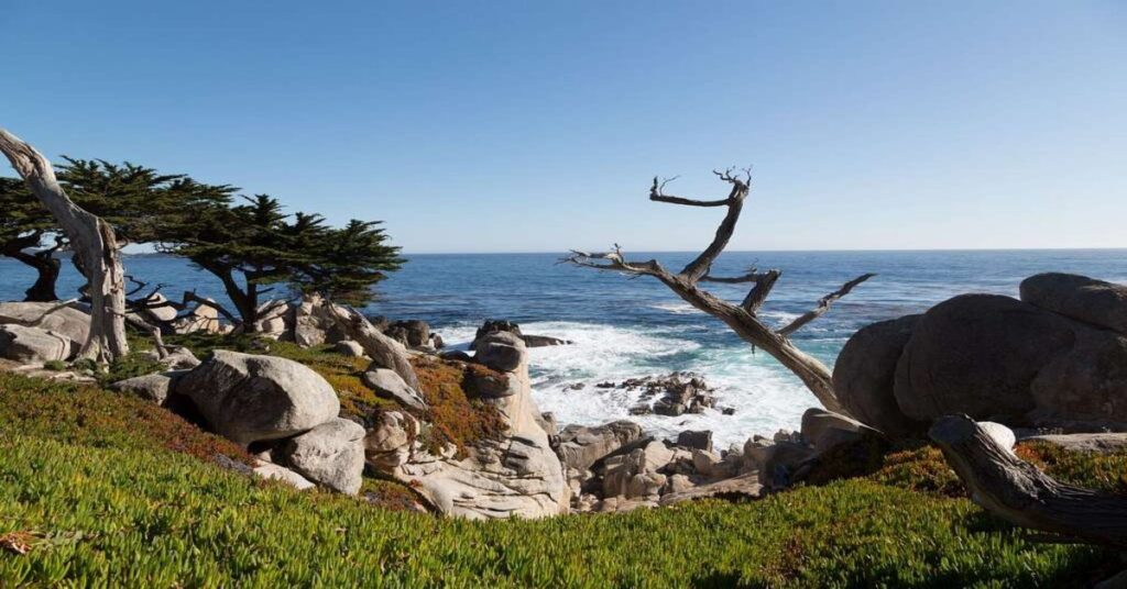Best Scenic Road Trips in usa