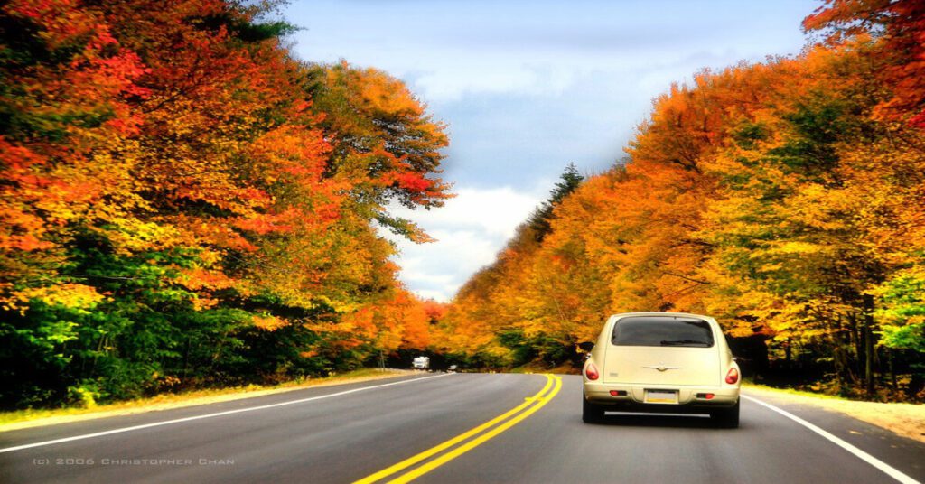 Best Scenic Road Trips in USA