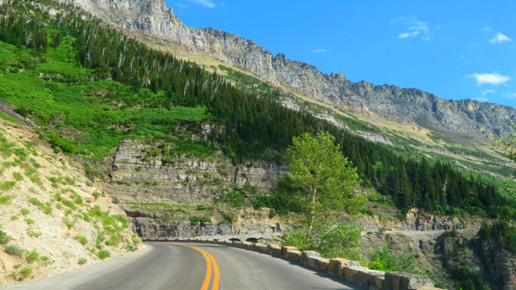 Best Scenic Road Trips in USA