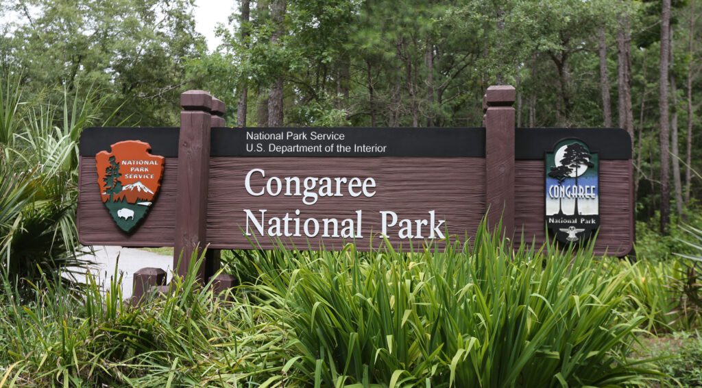 Congaree National park 