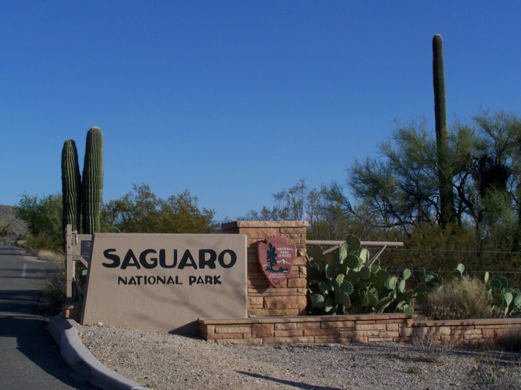 Saguaro National Park, Arizona