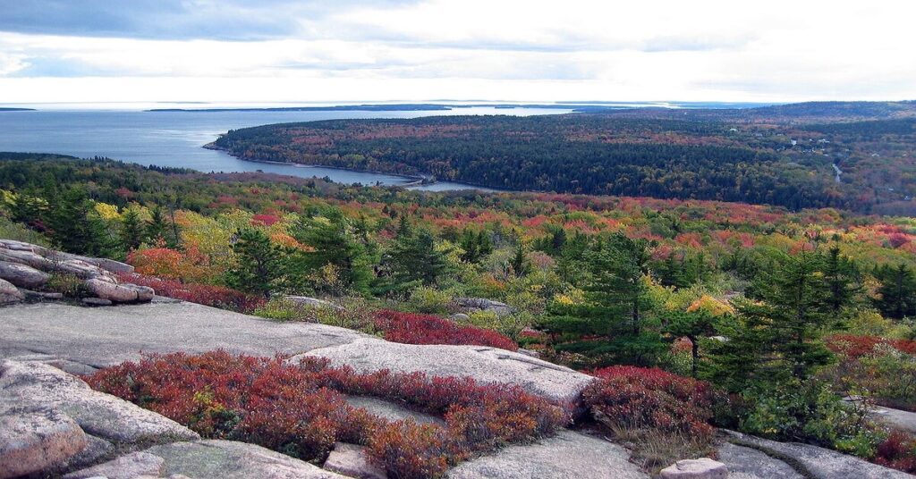 Top Eco-Friendly Travel Destinations in the USA