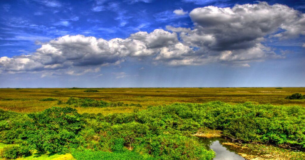Top Eco-Friendly Travel Destinations in the USA