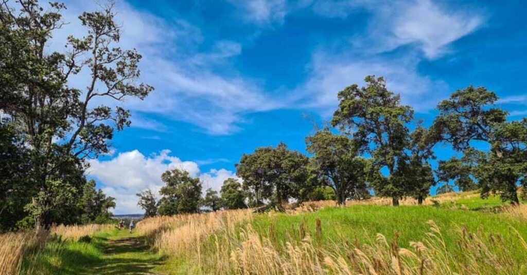 Badger Creek Ranch