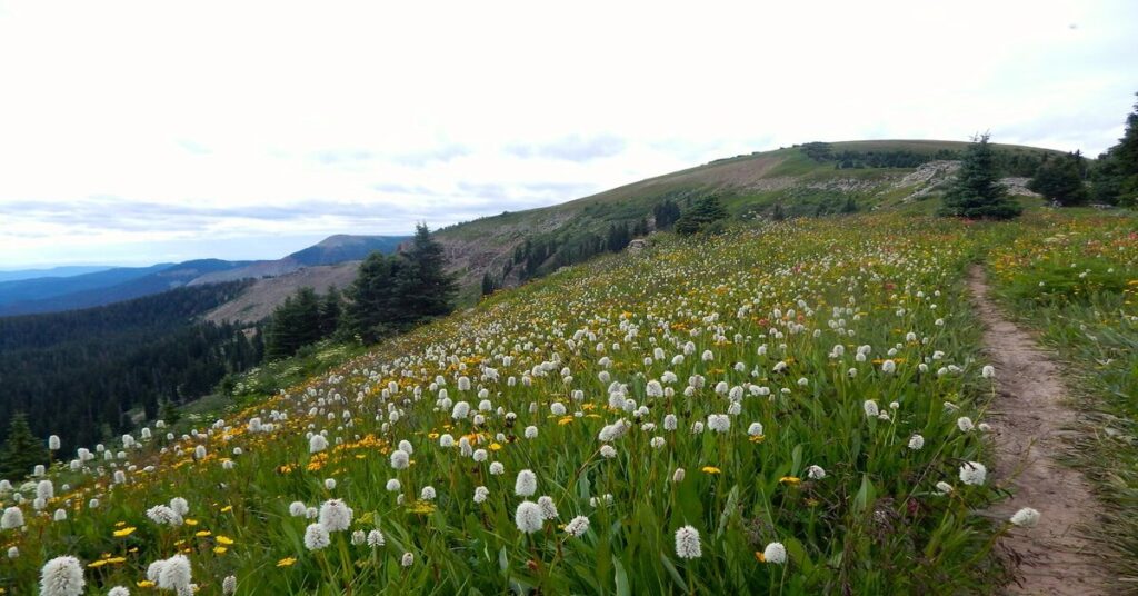 Overnight Hikes in Colorado