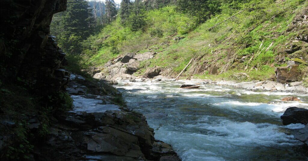 Best Hiking Trails Near Seattle